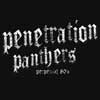 rimshots - penetration panthers