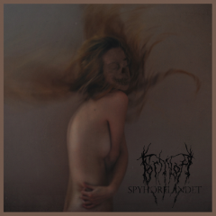 Formloff Cover