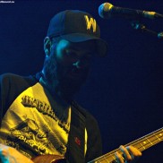 Lionize