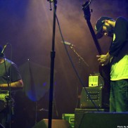 Lionize