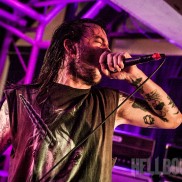 Cancer Bats