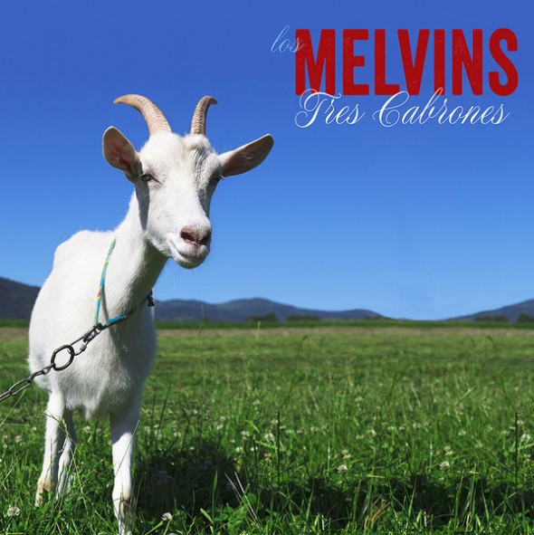 598px-Melvins-cabrones