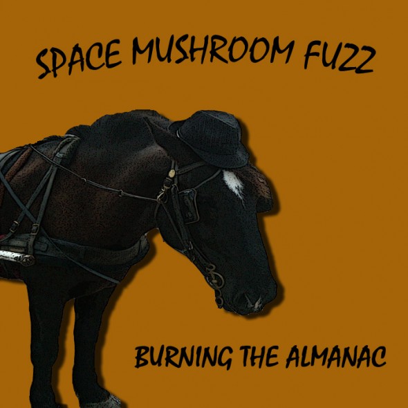 SpaceMushroomFuzz